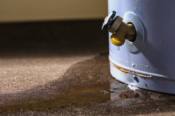  Plainview, NE Water damage restoration Pros