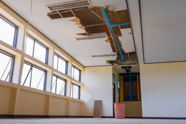 Water damage restoration mold remediation in NE