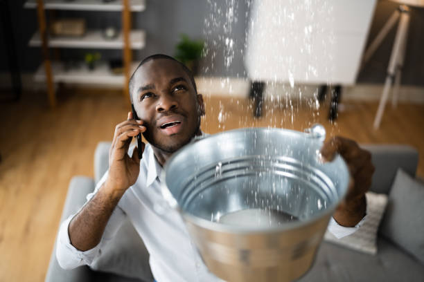Best Water damage repair service  in Plainview, NE