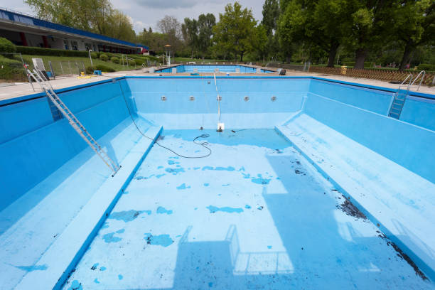 Best Basement water damage restoration  in Plainview, NE