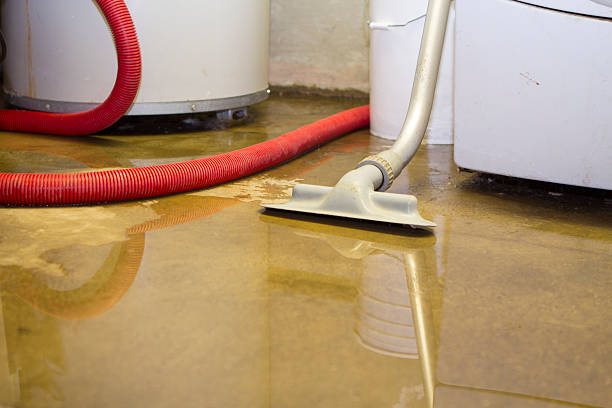 Best Ceiling water damage repair  in Plainview, NE