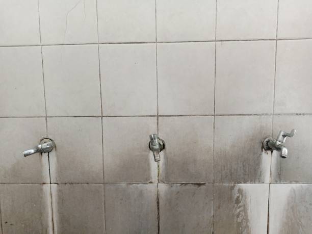 Best Commercial water damage restoration  in Plainview, NE