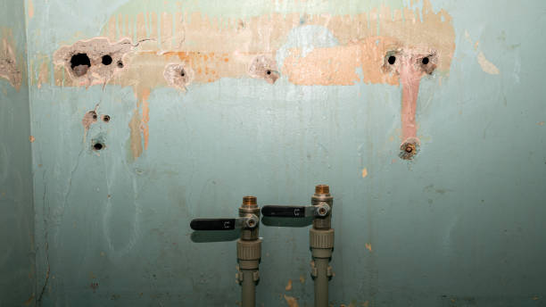 Water damage restoration mold remediation in NE
