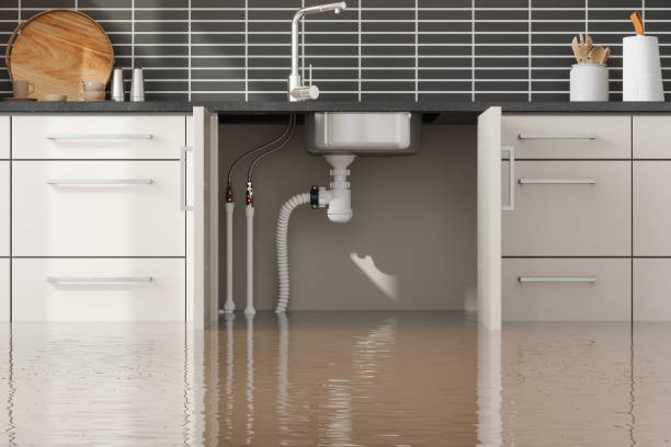 Best Emergency water damage restoration  in Plainview, NE